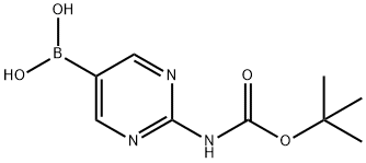 [2-(叔丁氧羰基氨基)嘧啶-5-基]硼酸 结构式