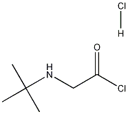 2-[(叔丁基)氨基]乙酰氯盐酸盐 结构式