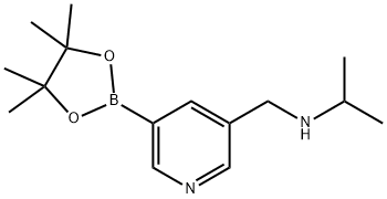 N-((5-(4,4,5,5-四甲基-1,3,2-二氧杂环戊硼烷-2-基)吡啶-3-基)甲基)丙-2-胺 结构式