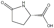 L-Pyroglutamic acid 结构式