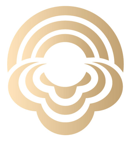 Shenzhen Ruqinba Chemical Materials Co., Ltd.