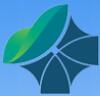-Hebei Shixing Chemical Co., Ltd.