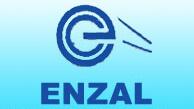 Enzal Chemicals (India) Limited