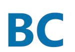 B.C. Chemicals Ltd.
