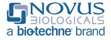 Novus Biologicals, Inc.