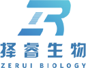 Shanghai Zerui Biotechnology Co., Ltd.