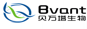 Shanghai Beiwanta Biotechnology Co., Ltd.