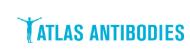 Atlas antibodies