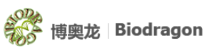 Suzhou Biodragon Immunotechnologies Co Ltd