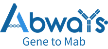 Shanghai Ebiwei Biotechnology Co Ltd