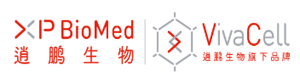 SHANGHAI XP BIOTECHNOLOGIES Ltd