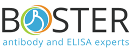 Boster Biological Technology Ltd