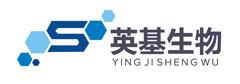 Shanghai Yingji Biological Technology Co., Ltd.