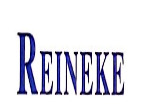 Jinan Reineke Science & Technology Co., Ltd