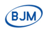 Wuhan BJM Pharm Inc