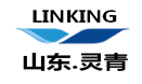 Shandong Lingqing Pharmaceutical Technology Co., Ltd.