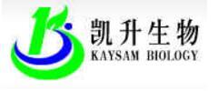 Guangzhou Kaisheng Biotechnology Co., Ltd.