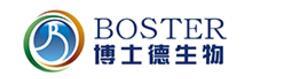 Boster Biological Technology co.Itd