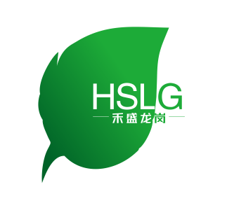 Chongqing Hesheng Longgang Technology Co. Ltd.