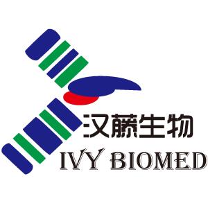 Beijing Han Teng Biomedical Technology Co., Ltd.