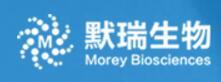 Murray (Shanghai) Biotechnology Co., Ltd.