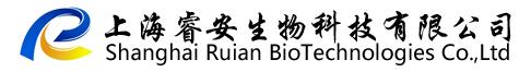 Shanghai Ruian Biological Technology Co., Ltd.