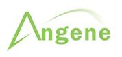 Angene International Limited
