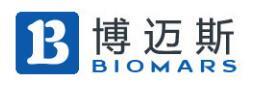 Beijing Bomais Technology Development Co., Ltd.