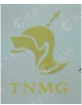 Tongling Jintai Chemical Industrial Co., Ltd
