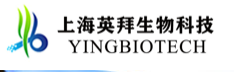 Shanghai Yingbai Biotechnology Co., Ltd.