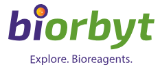  Biorbyt Ltd.