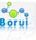 Chengdu Borui Chemical Co., Ltd.