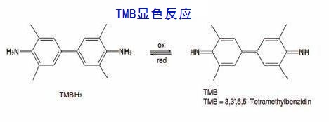 TMB显色反应