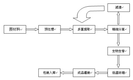 瑪咖提取物的生產工藝流程圖