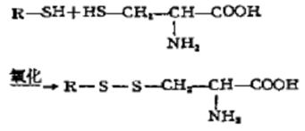 L-半胱氨酸的作用和合成方法