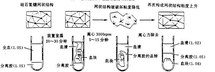 血清分離膠的制備及應(yīng)用