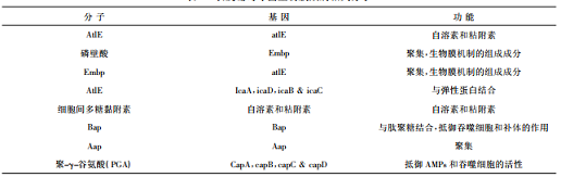 表皮葡萄球菌的致病因子