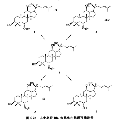 人参皂苷Rh4 | 174721-08-5 | 上海源叶生物科技有限公司