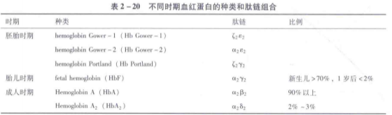 血红蛋白的相关介绍