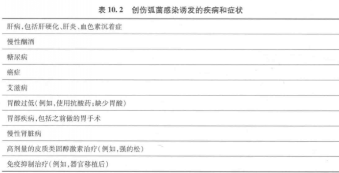 什么是创伤弧菌及其致病性