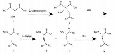 乙酰氨基丙二酸二乙酯的制备及应用