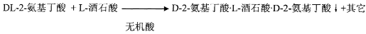 D-2-氨基丁酸的合成
