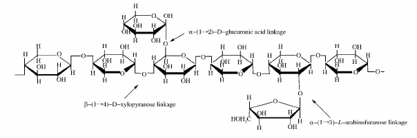 木聚糖酶的应用