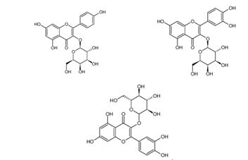 罗布麻浸膏的药理作用