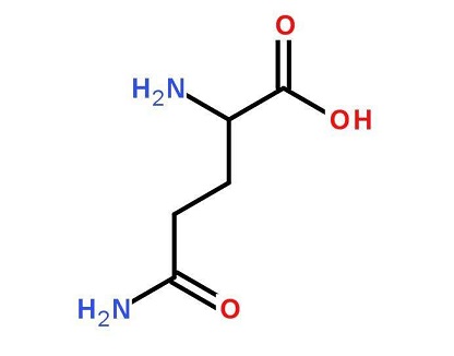 谷氨酰胺的功效是什么
