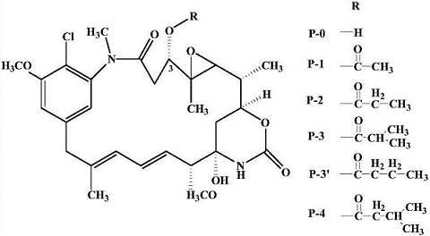 安丝菌素P-3的制备