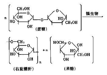 [1 右旋糖酐的制备是以蔗糖为原料,利用蔗糖分子中的葡萄糖单元,经微