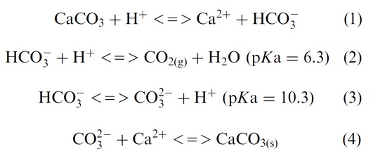 什么是碳酸氢钙脱酸？