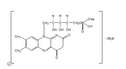 核黄素磷酸钠为维生素类药 