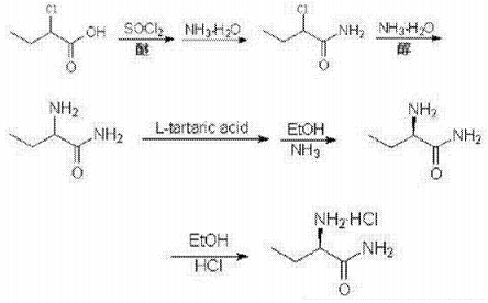 (R)-(-)-2-氨基丁酰胺盐酸盐的制备